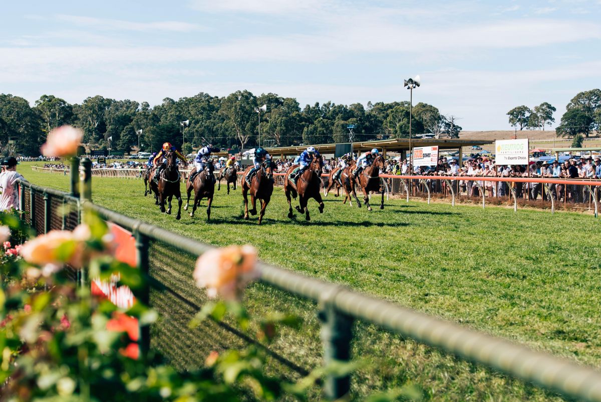 South Australian Jumps Racing Australian Jumping Racing Association